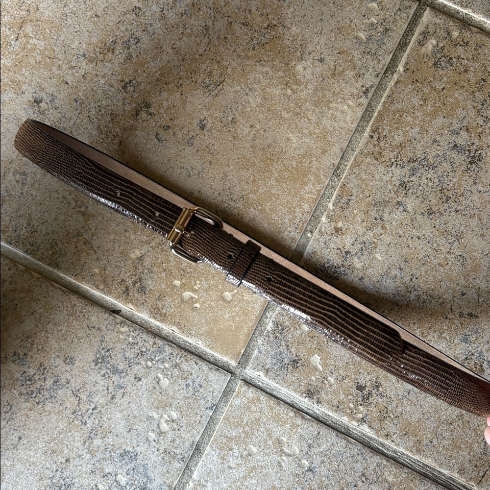 NWOT Ann Taylor Elegant Brown 3/4” Width Leather Belt, Size: S (fits 28”-32”)